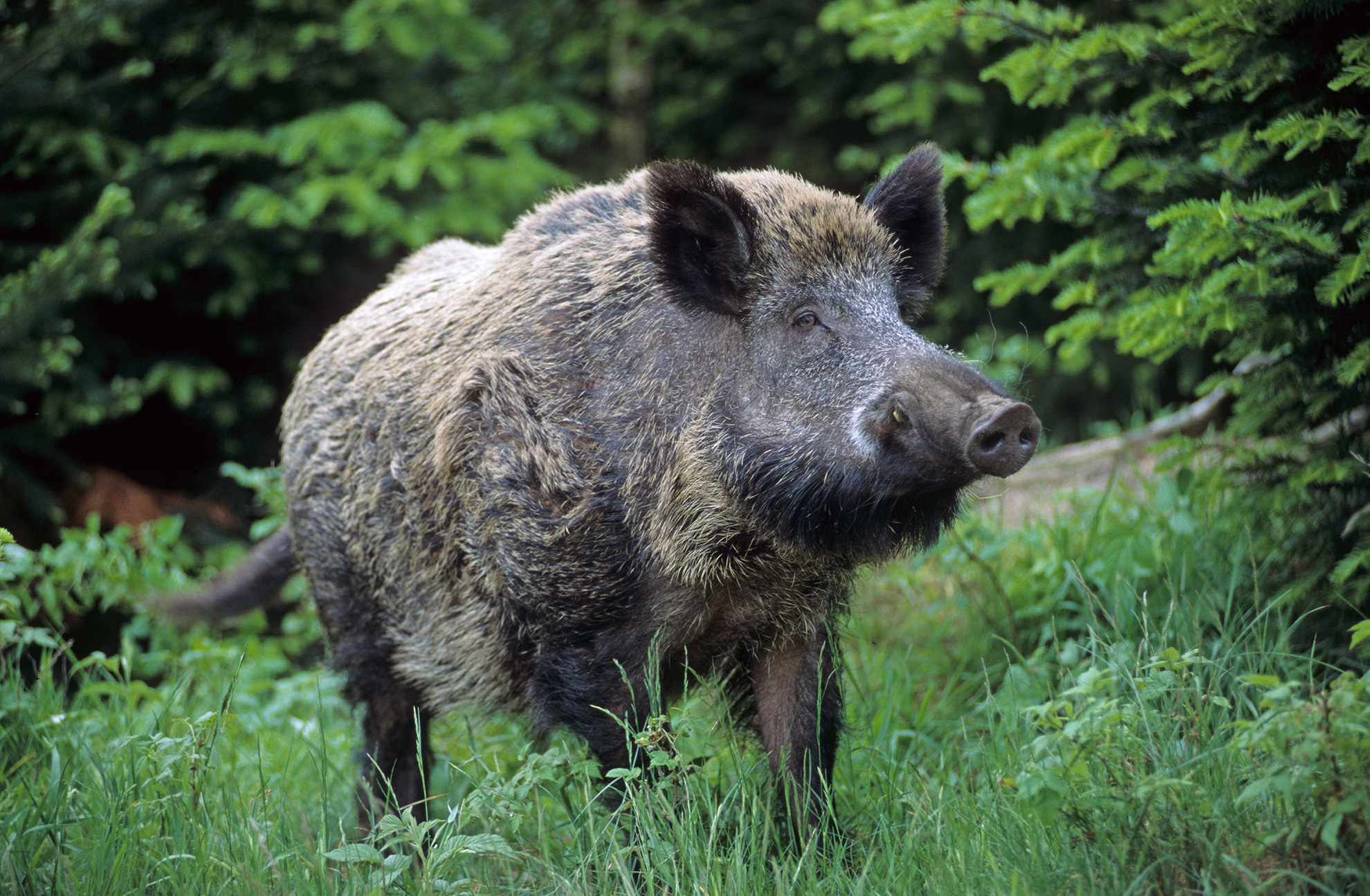Möllner Wildpark – Bild 5