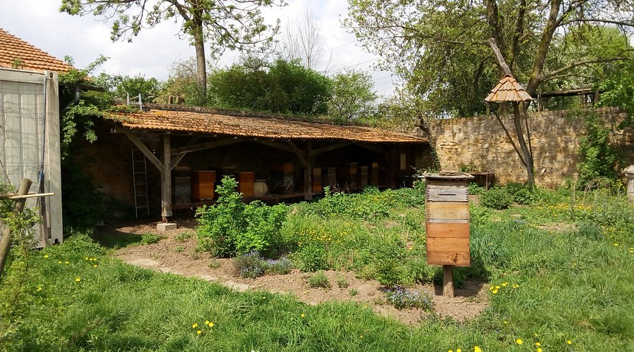 Dottenfelderhof – Bild 2