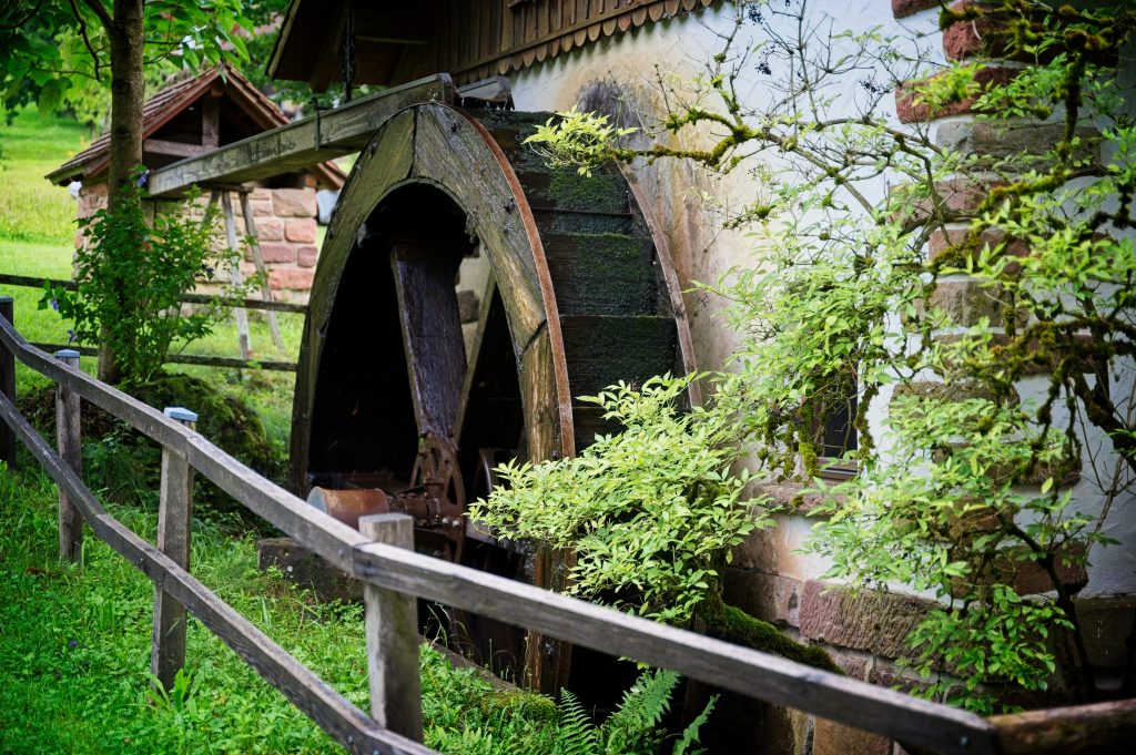 Naturerlebnispark – Bild 5