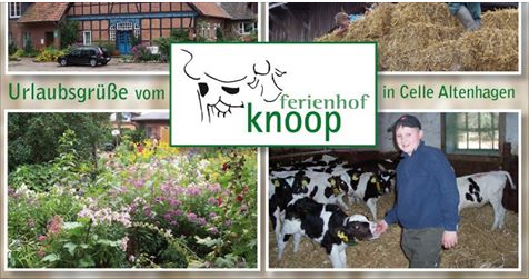Ferienhof Knoop – Bild 6
