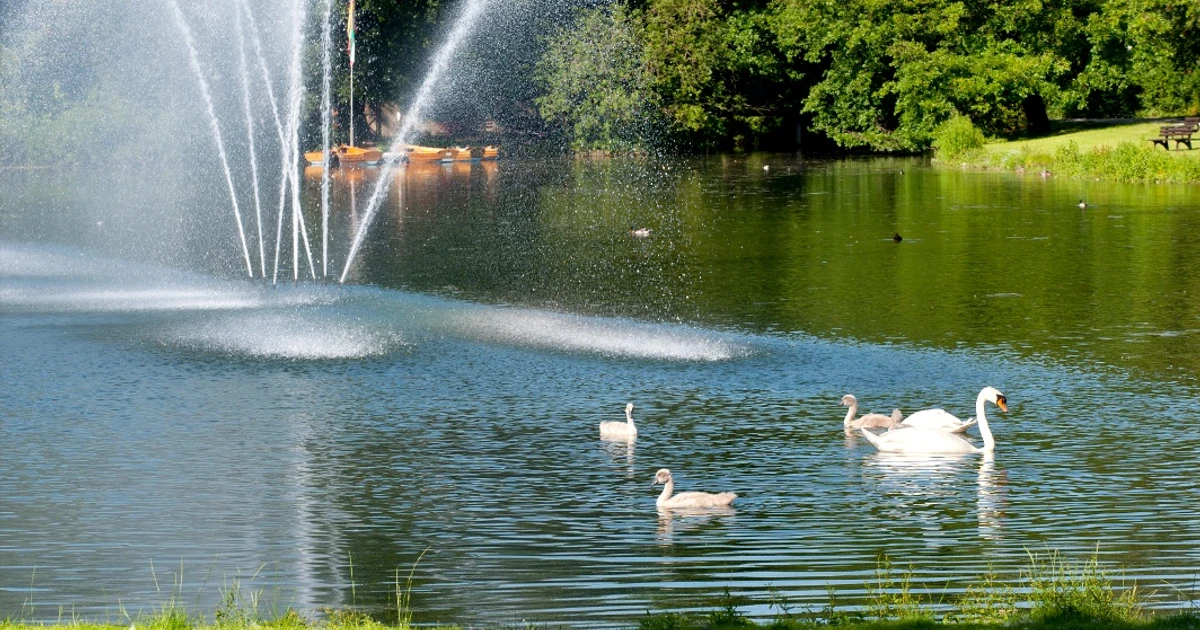 Wildgehege Landschaftsgarten Bad Salzuflen – Bild 5