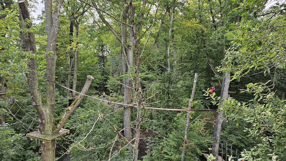 Naturkugelbahn – Bild 2