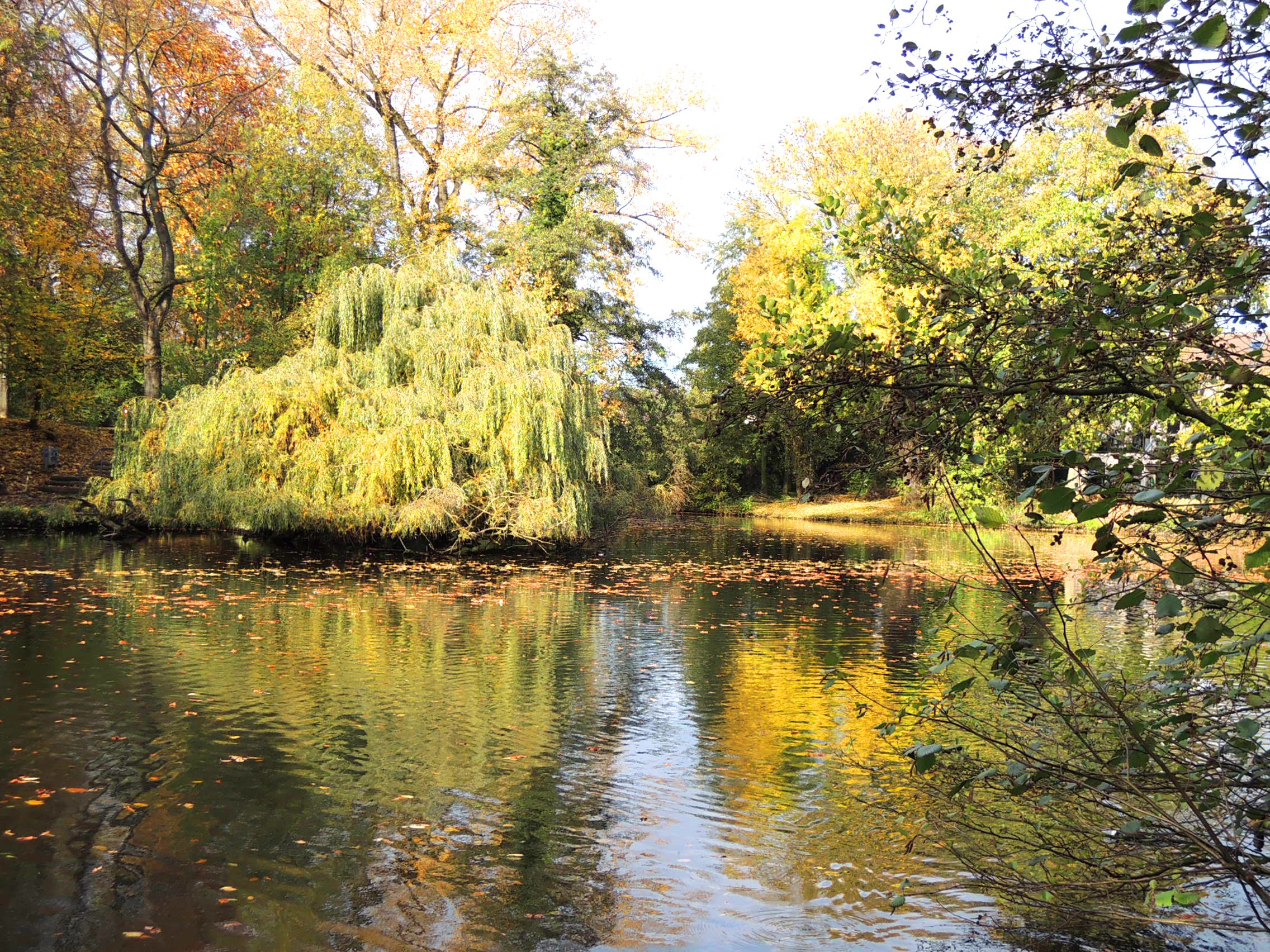 Schlosspark Moers – Bild 5