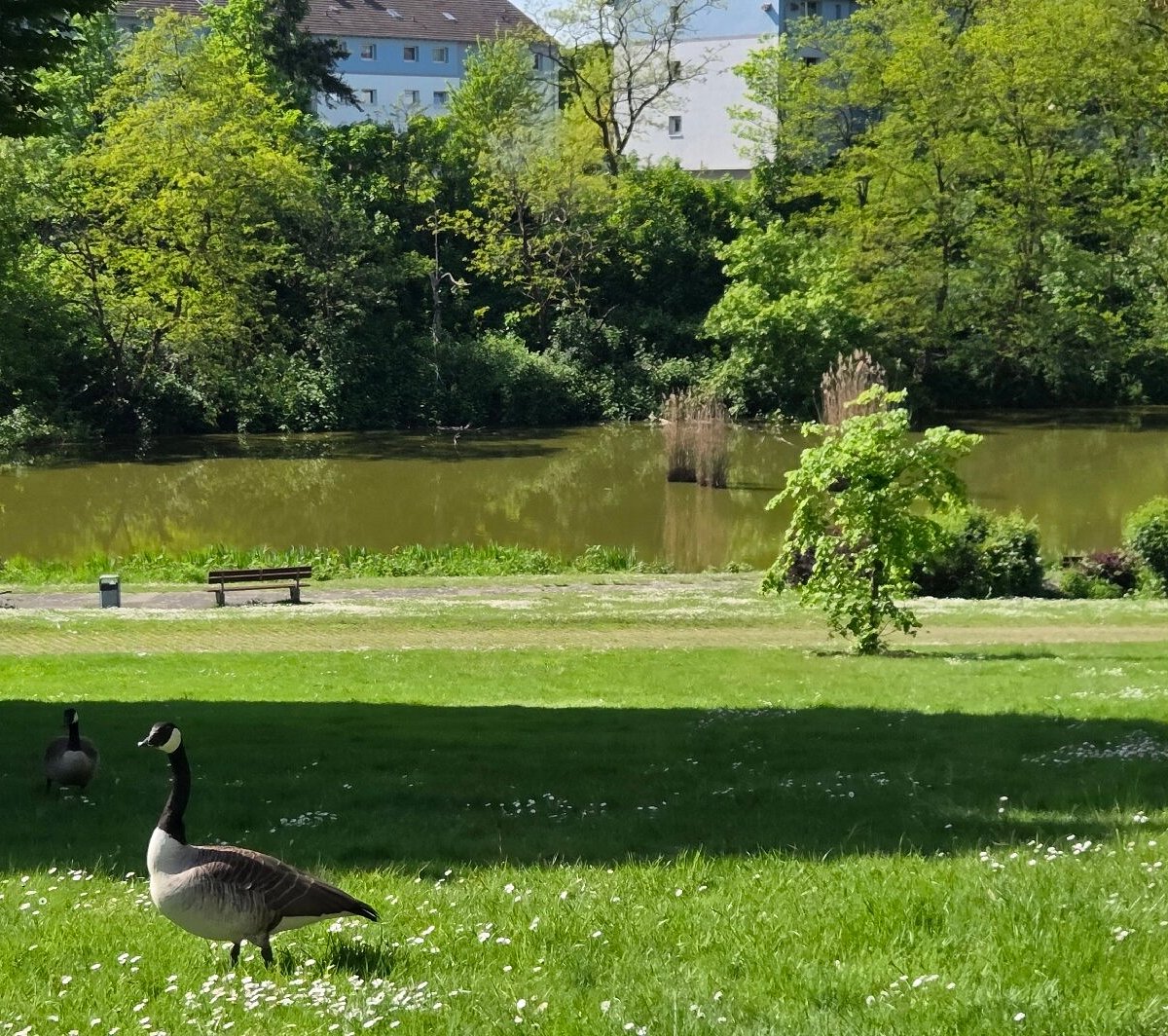 Aquilapark – Bild 6