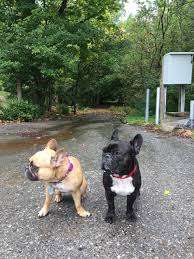 Lynhurst Community Park – Bild 6