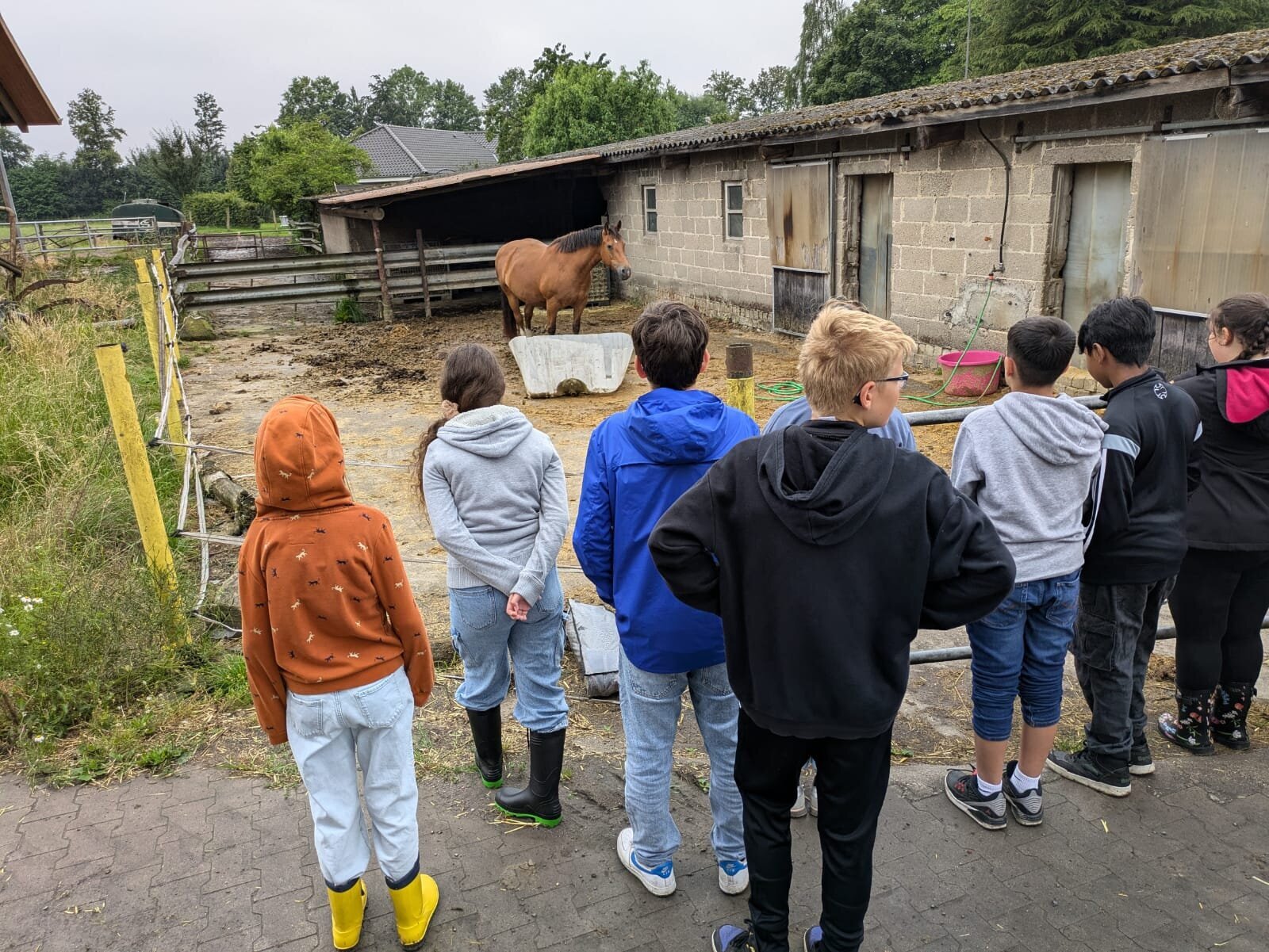 Hof Mindrup – Bild 4