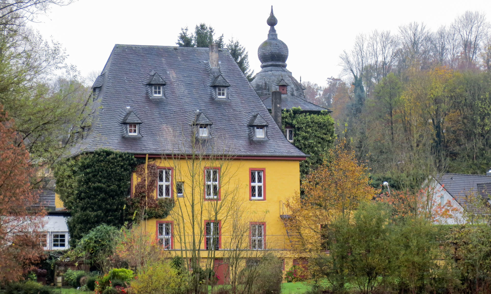 Waldpfad In Zwei Ebenen – Bild 5