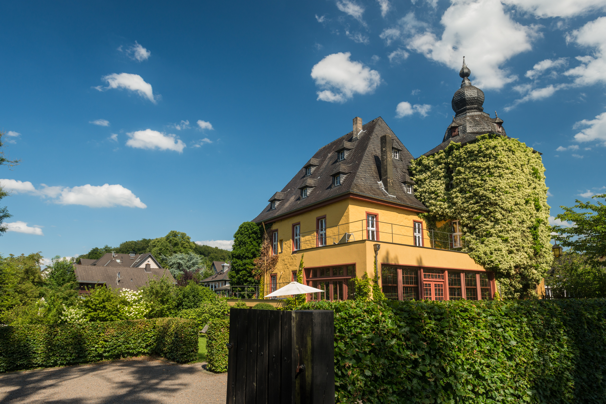 Waldpfad In Zwei Ebenen – Bild 6