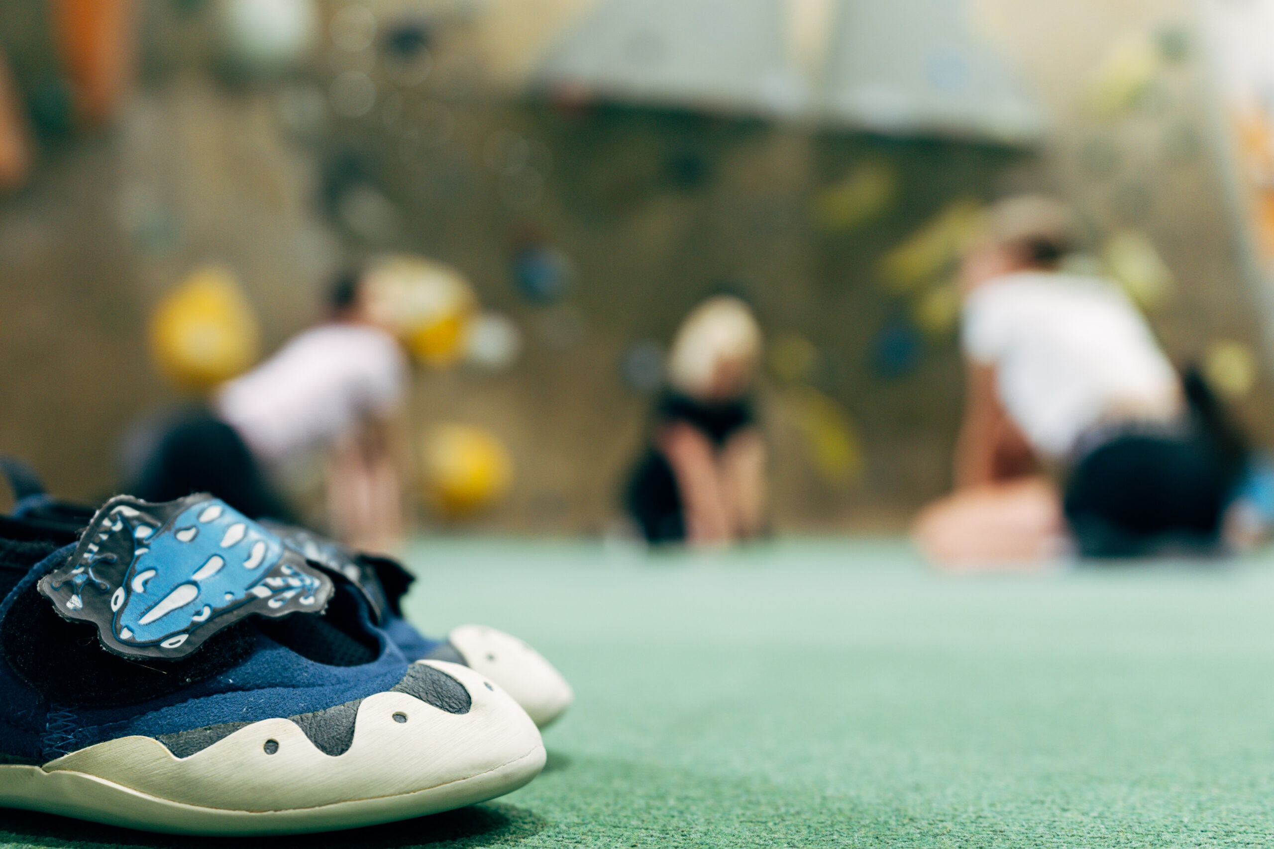 Eifelblock Metternich – Bild 5