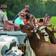 Lake Tobias Wildlife Park – Bild 3