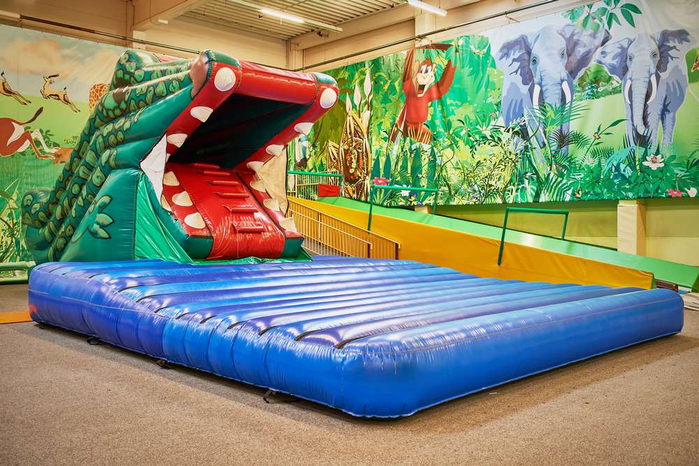 Jackelino Safari – Bild 4