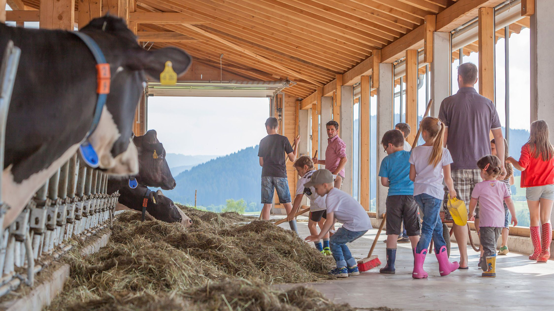 Kindergeburtstag auf dem Bauernhof – Bild 4