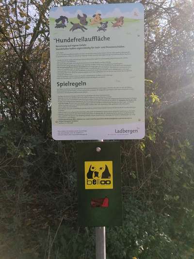 Freilaufwiese IG Bunter Hund – Bild 3