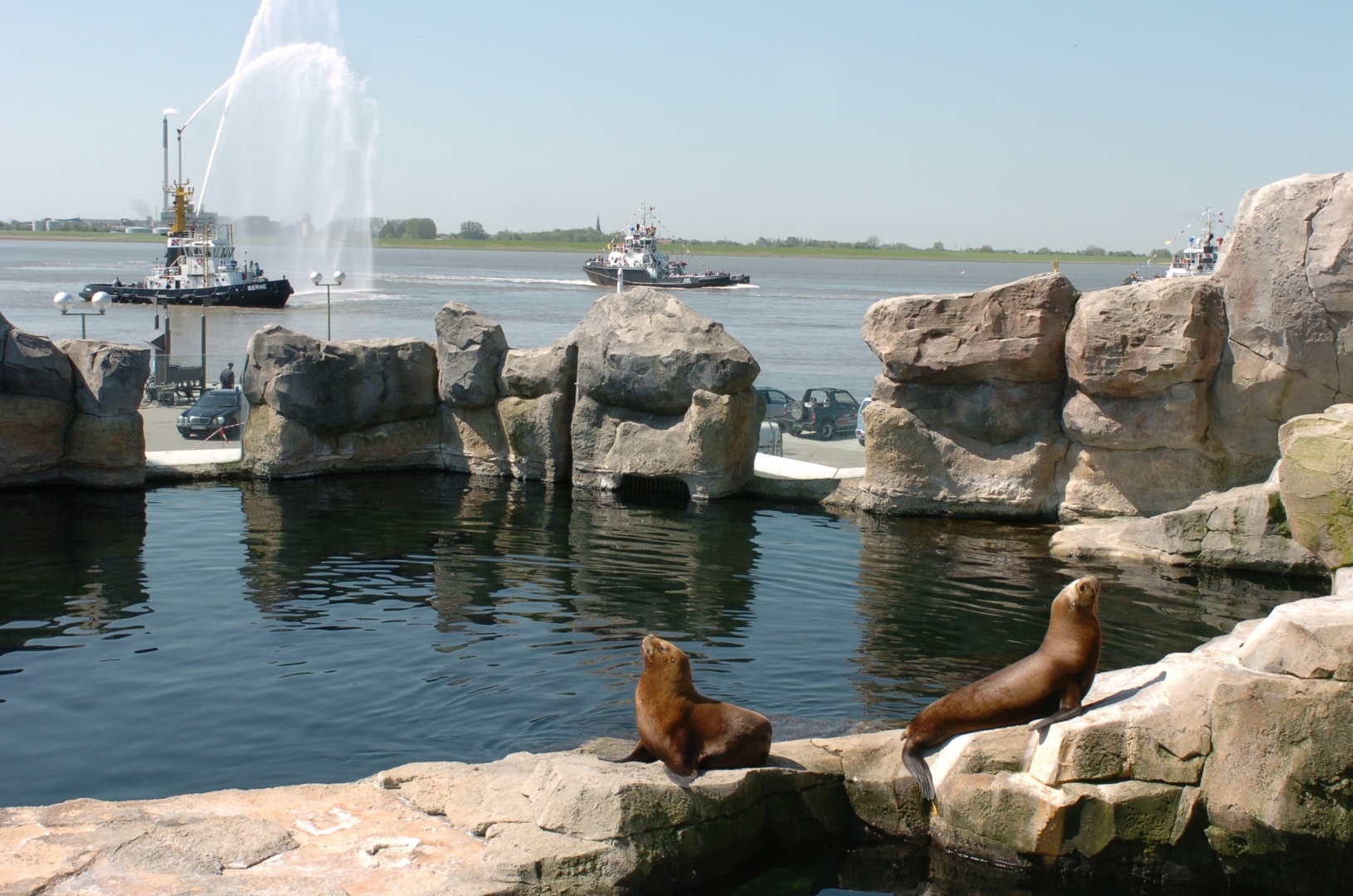 Zoo am Meer Bremerhaven – Bild 4