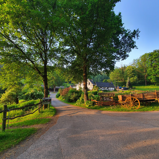 Richard Michael u. Anne Ferienwohnungen u. Bauernhof Grevenbrück – Bild 4