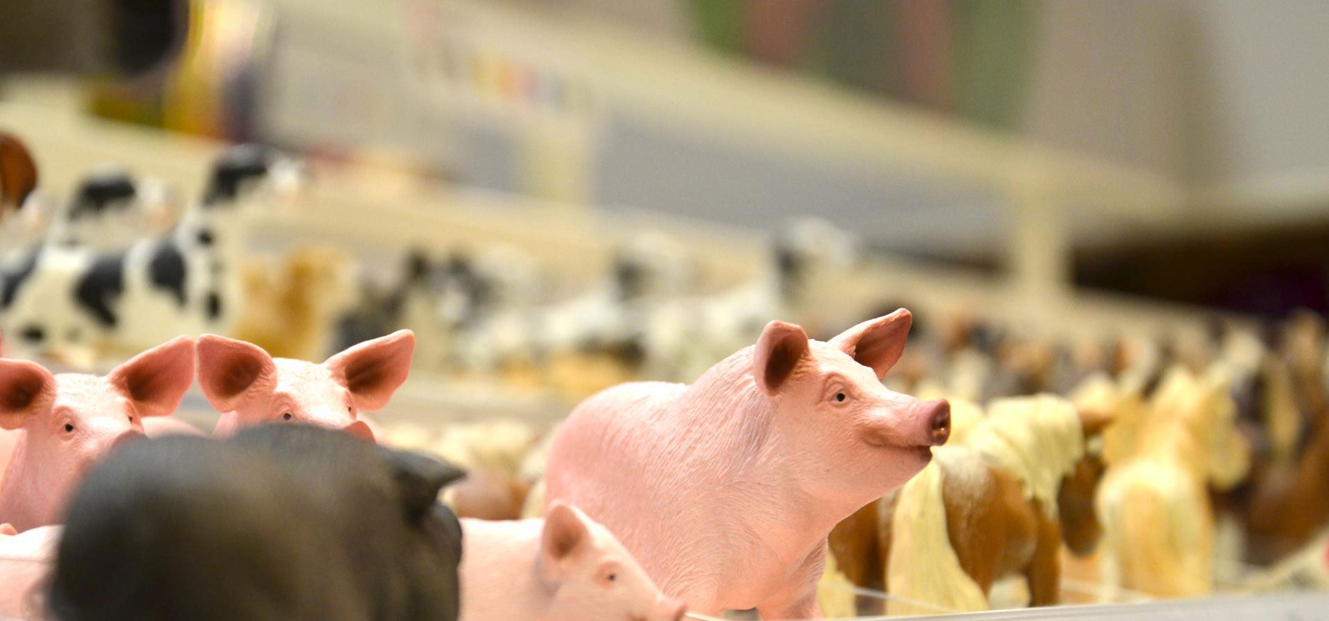 Renner Haus + Garten – Bild 5