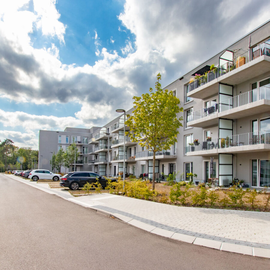 Bolzplatz im Waldquartier – Bild 4