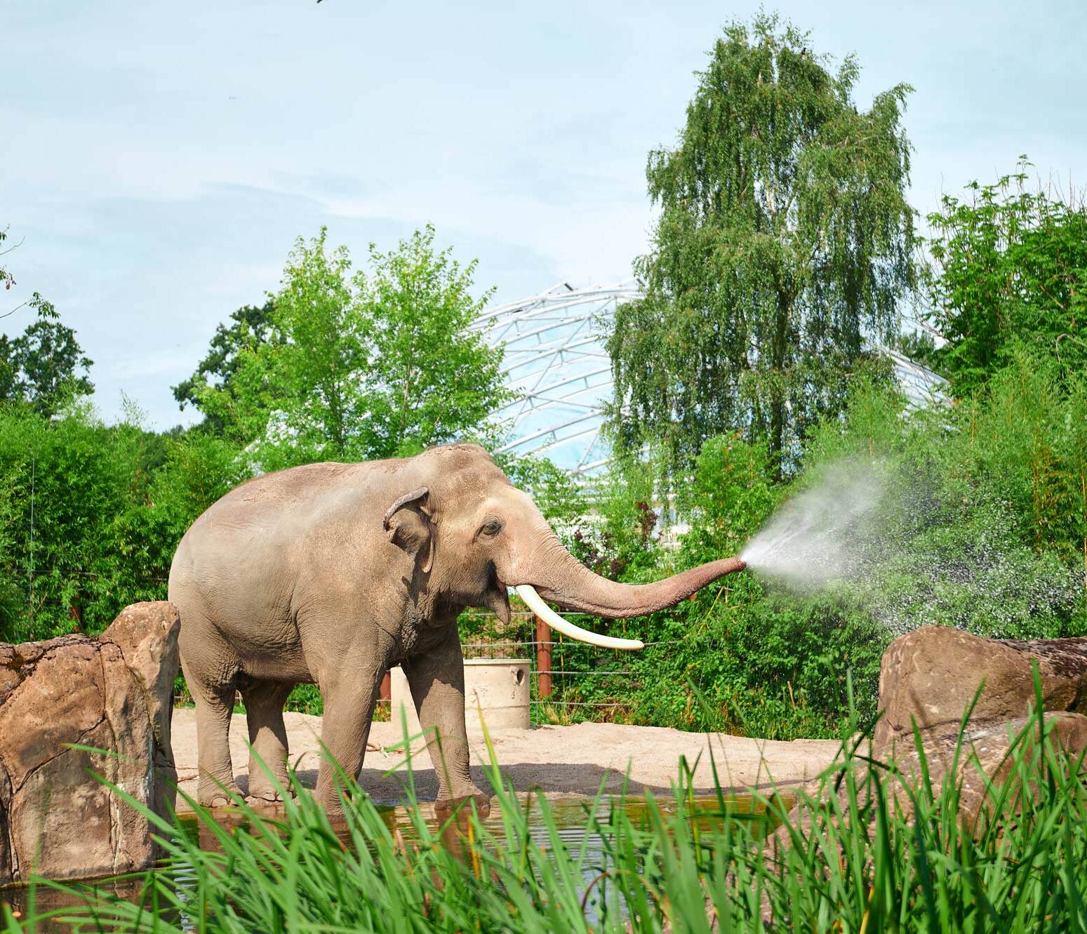 Allwetterzoo Münster – Bild 3