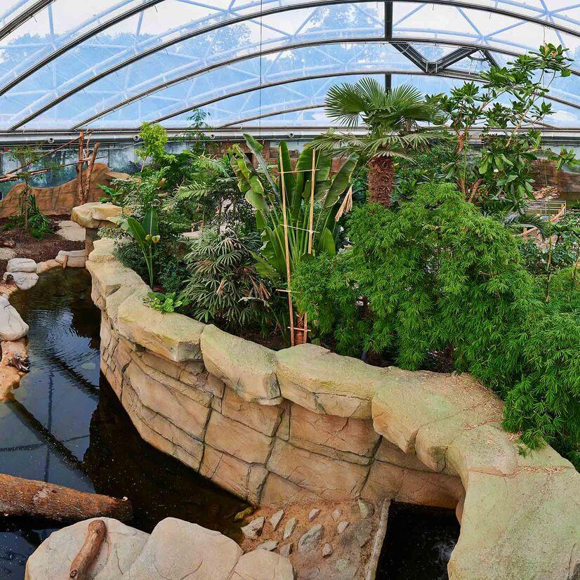 Allwetterzoo Münster – Bild 4