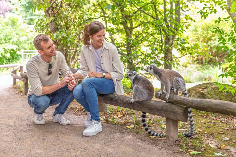 Allwetterzoo Münster – Bild 5