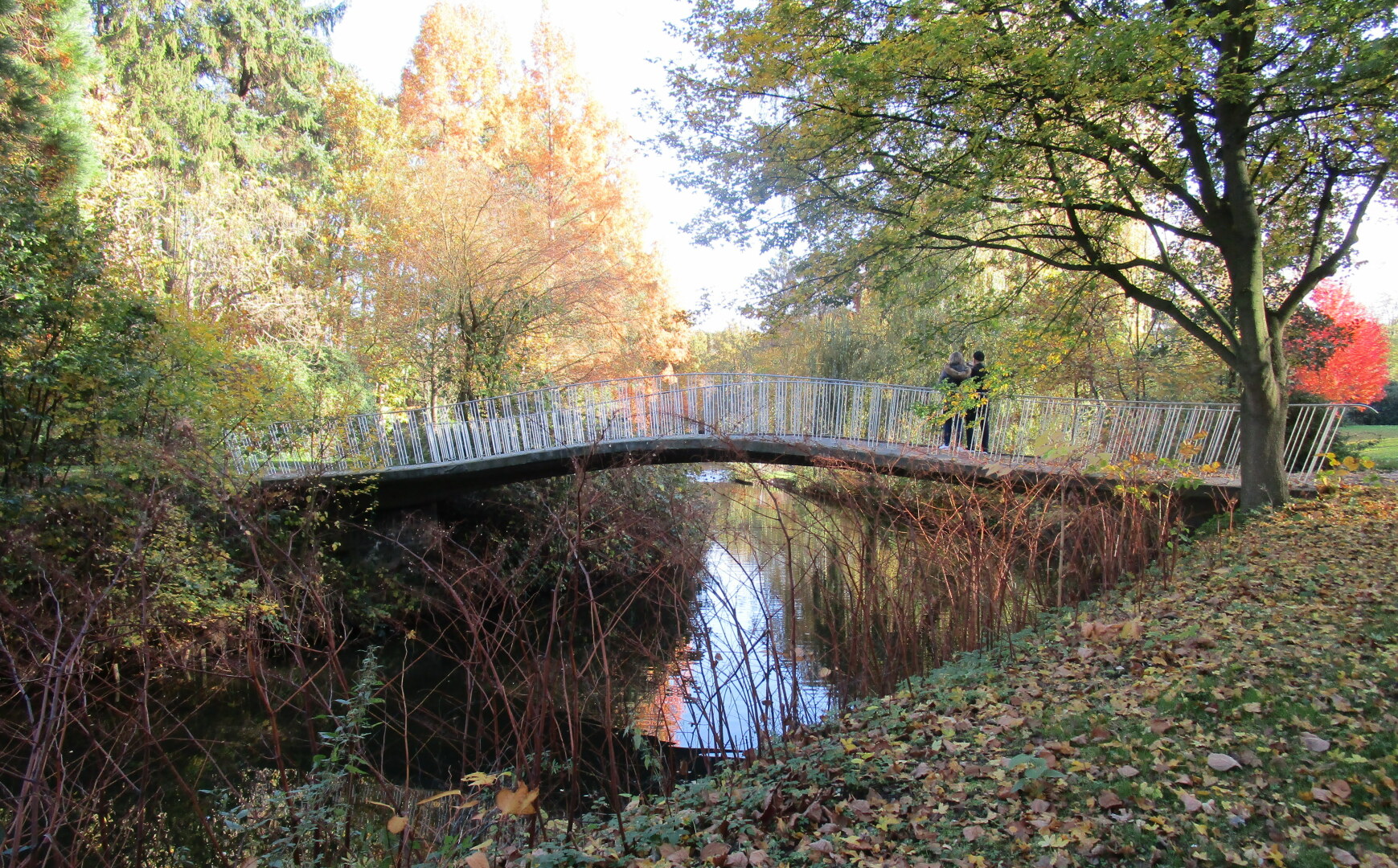 Drachenberg – Bild 4