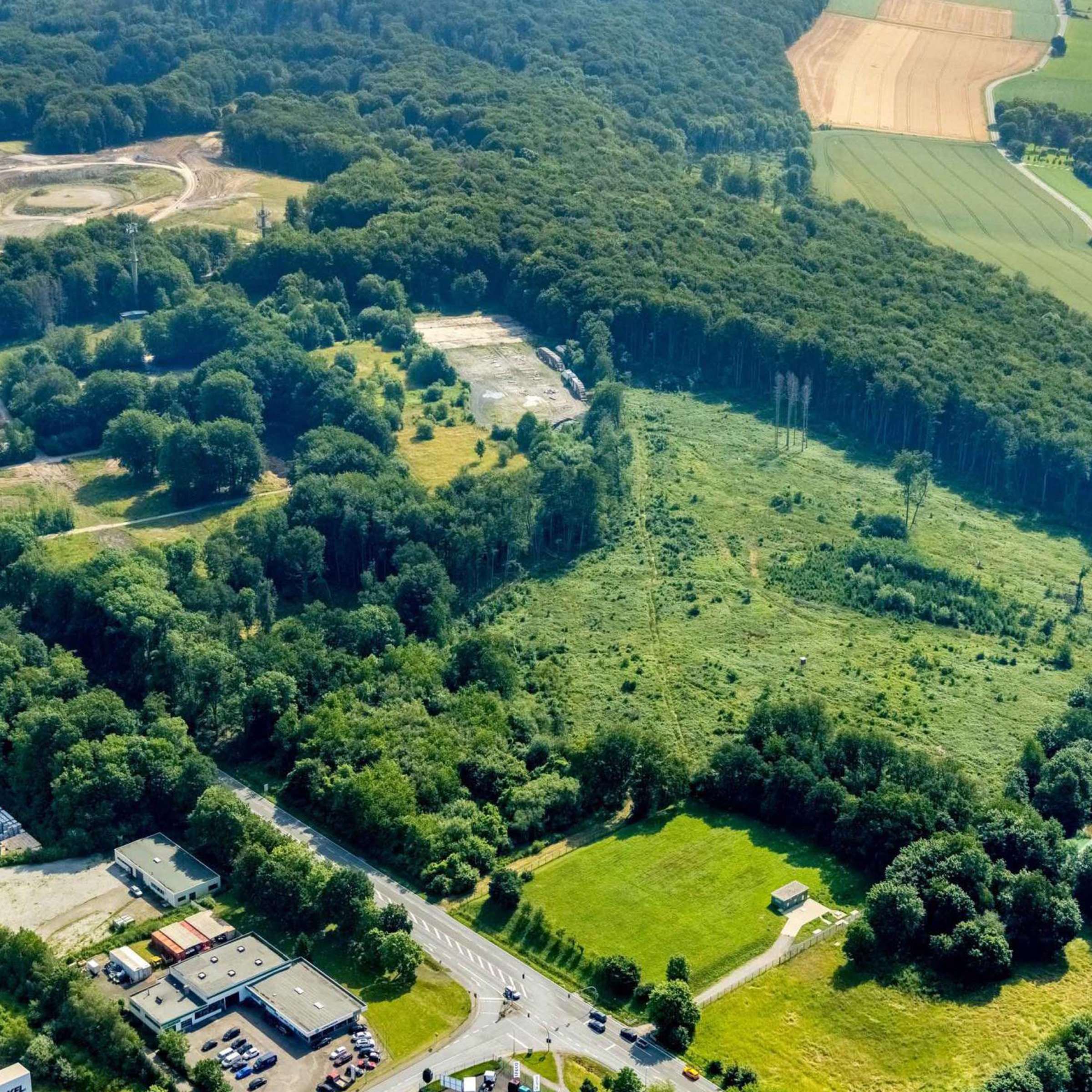 Stadtwald Werl – Bild 2