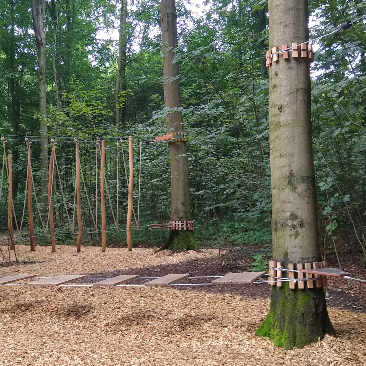 Stadtwald Werl – Bild 3