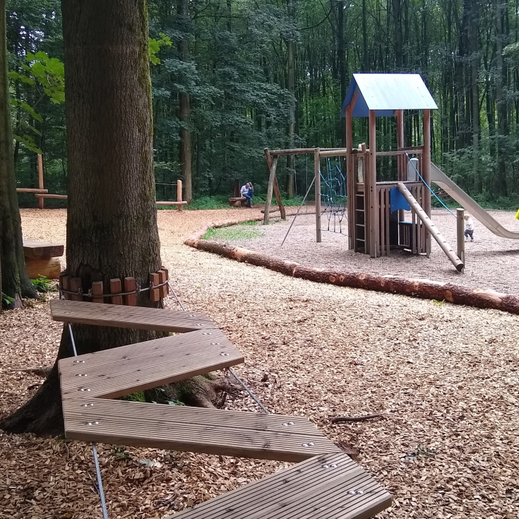 Stadtwald Werl – Bild 6