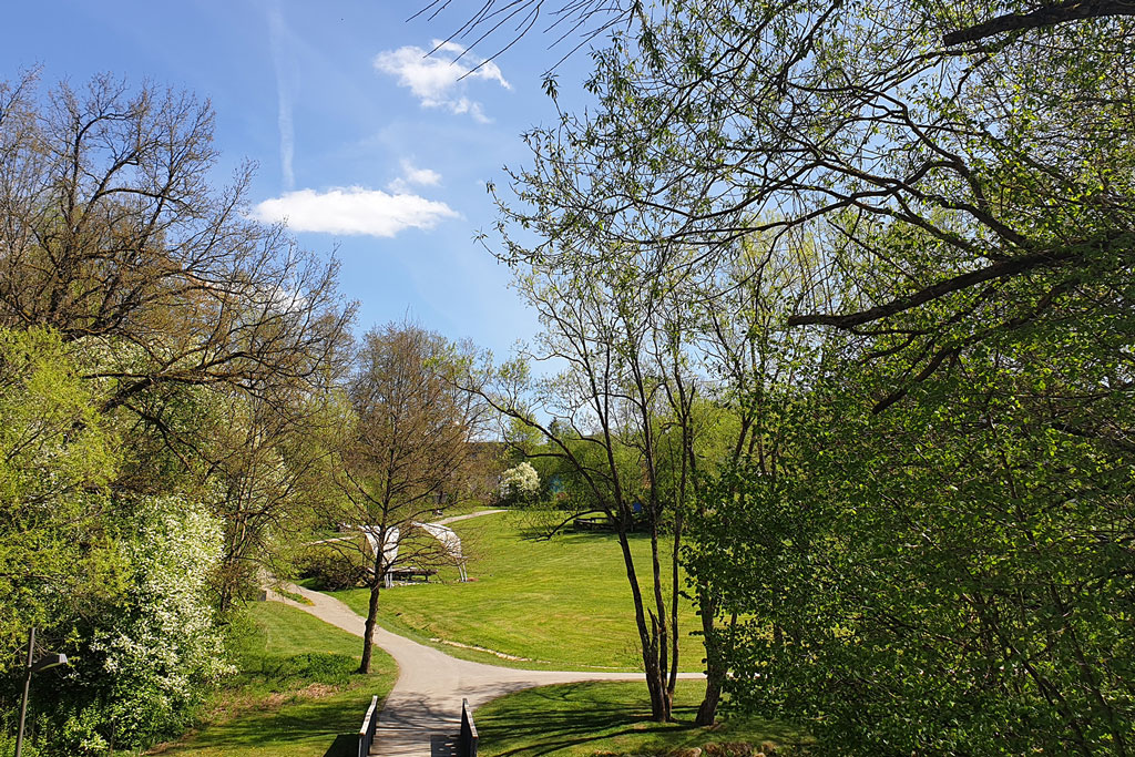 Stadtpark – Bild 2