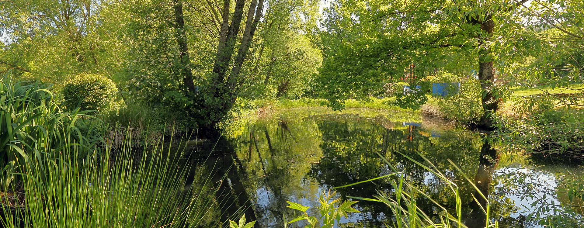 Stadtpark – Bild 3