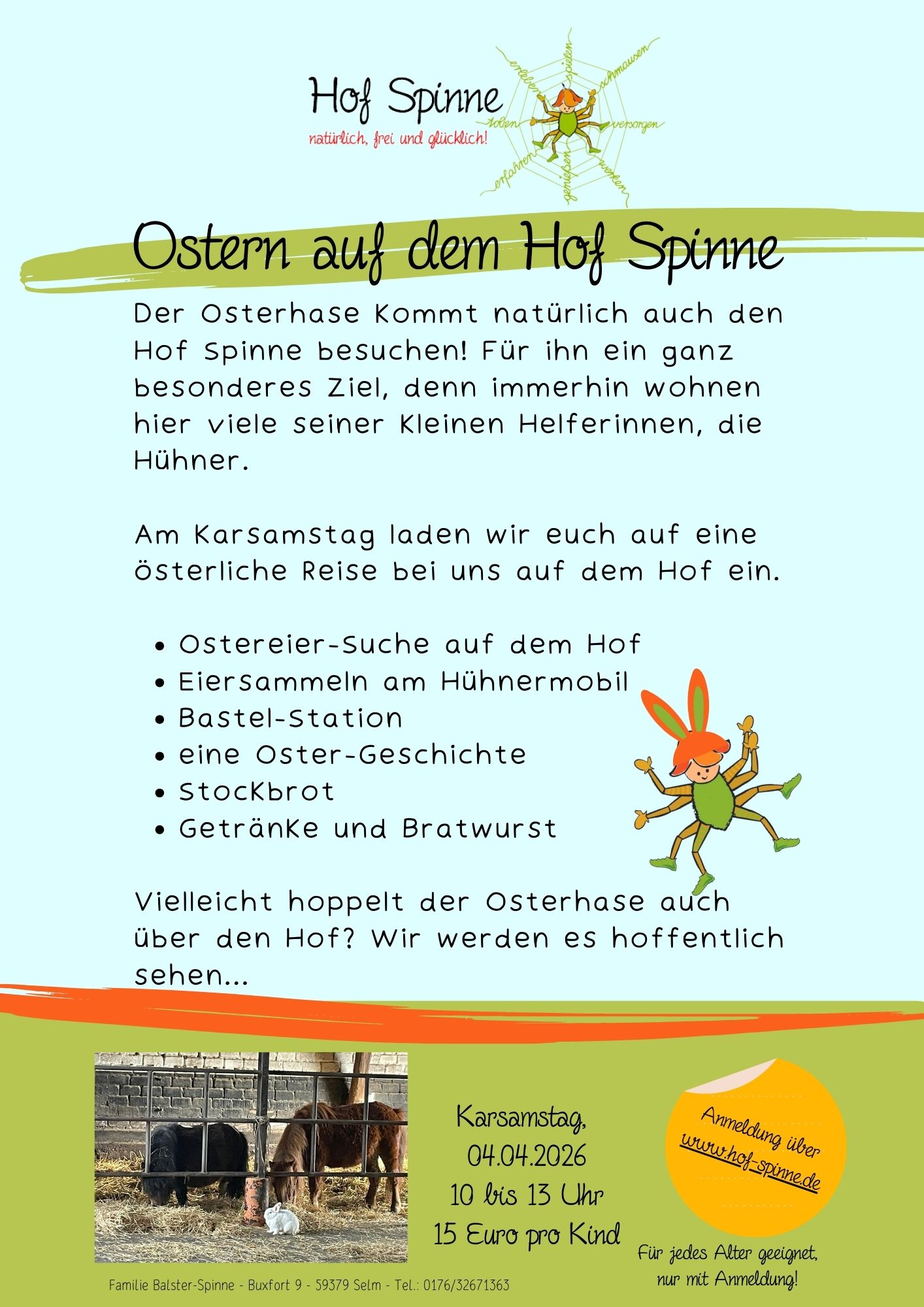 Hof Spinne – Bild 2