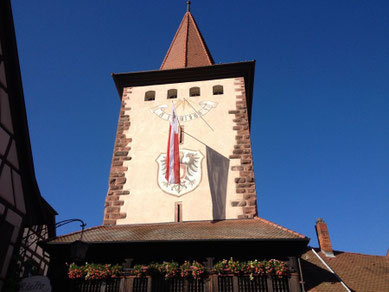 Ferienhof Rauer – Bild 6