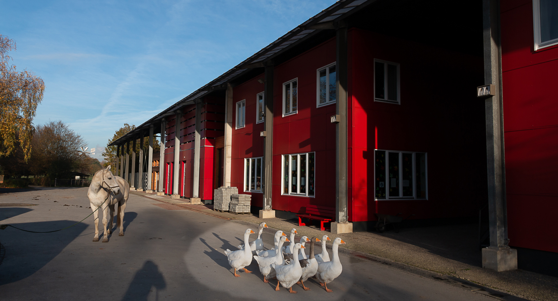 AWO-Lernbauernhof Ingenhammshof – Bild 3