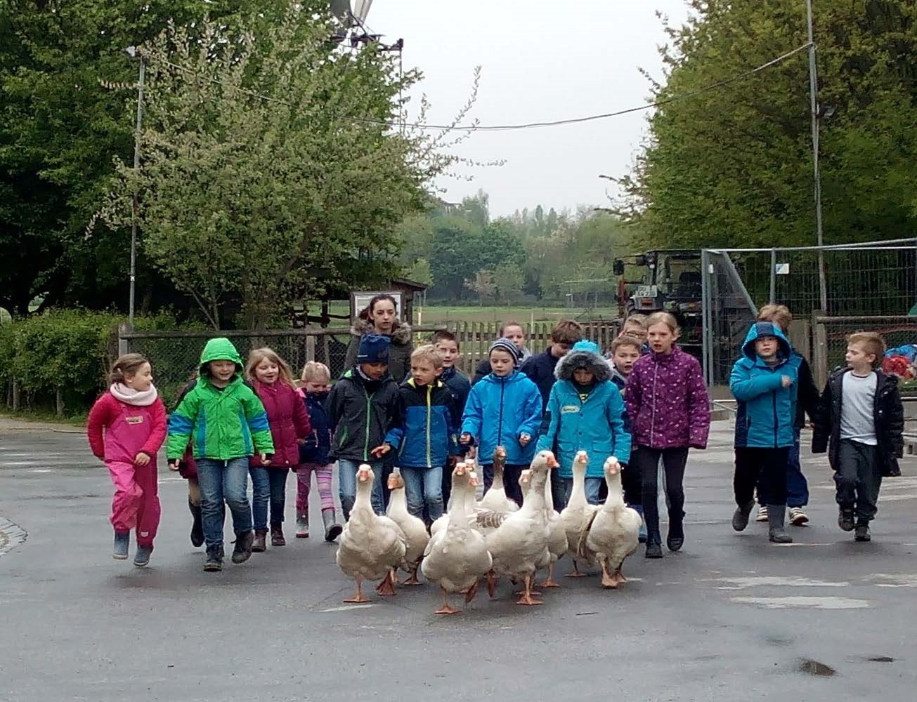 AWO-Lernbauernhof Ingenhammshof – Bild 5