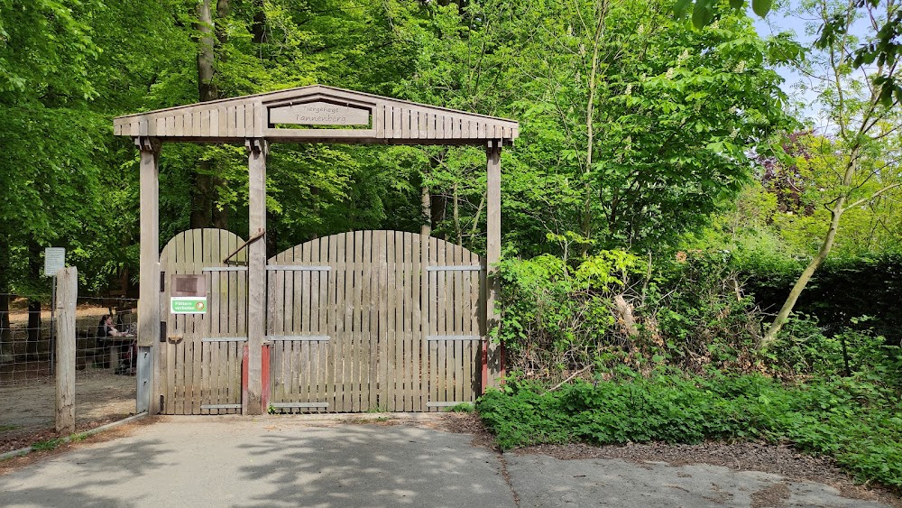 Tiergehege Tannenberg – Bild 3