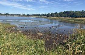 Kenny's Pond Park – Bild 2