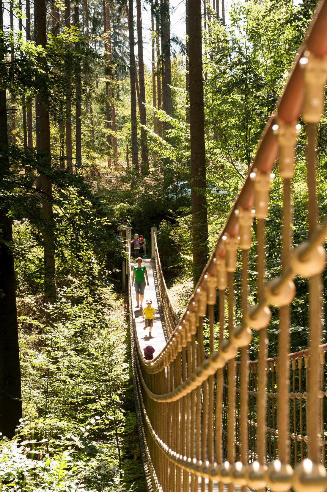 Aussichtspunkt Erlebnispfad Binger Wald – Bild 4