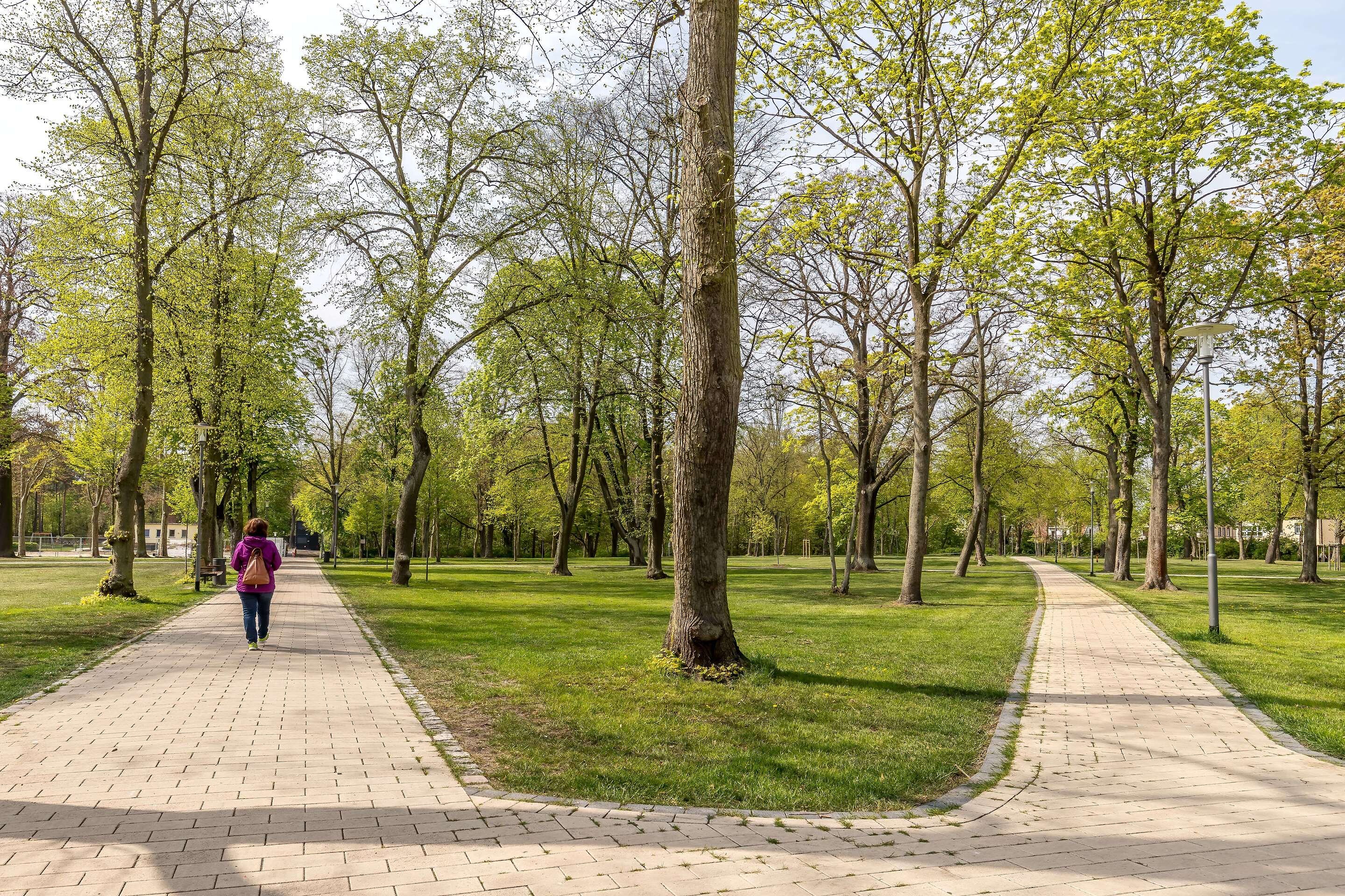 Clara-Zetkin-Park – Bild 1