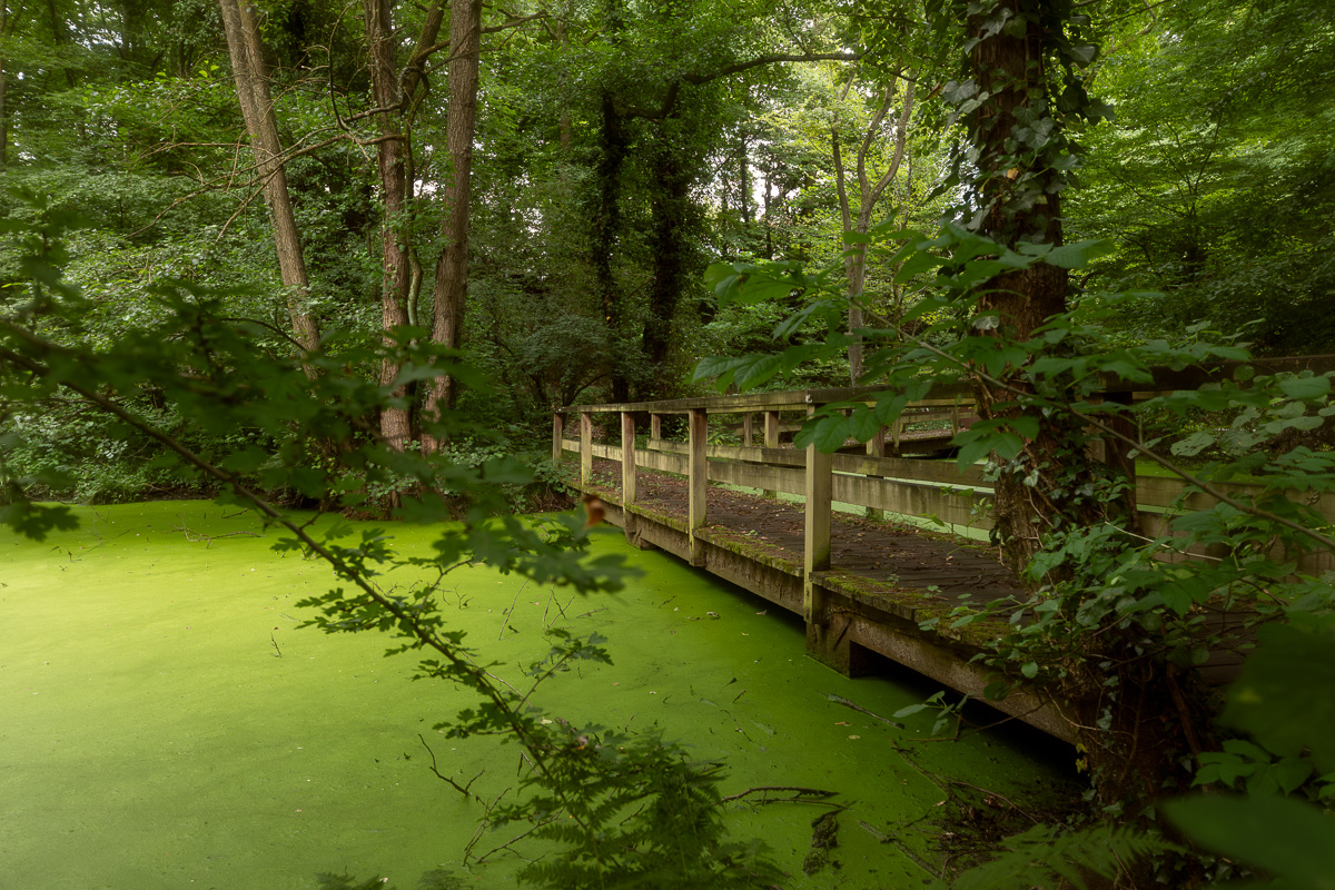 Rutsche am Zaubersee – Bild 6
