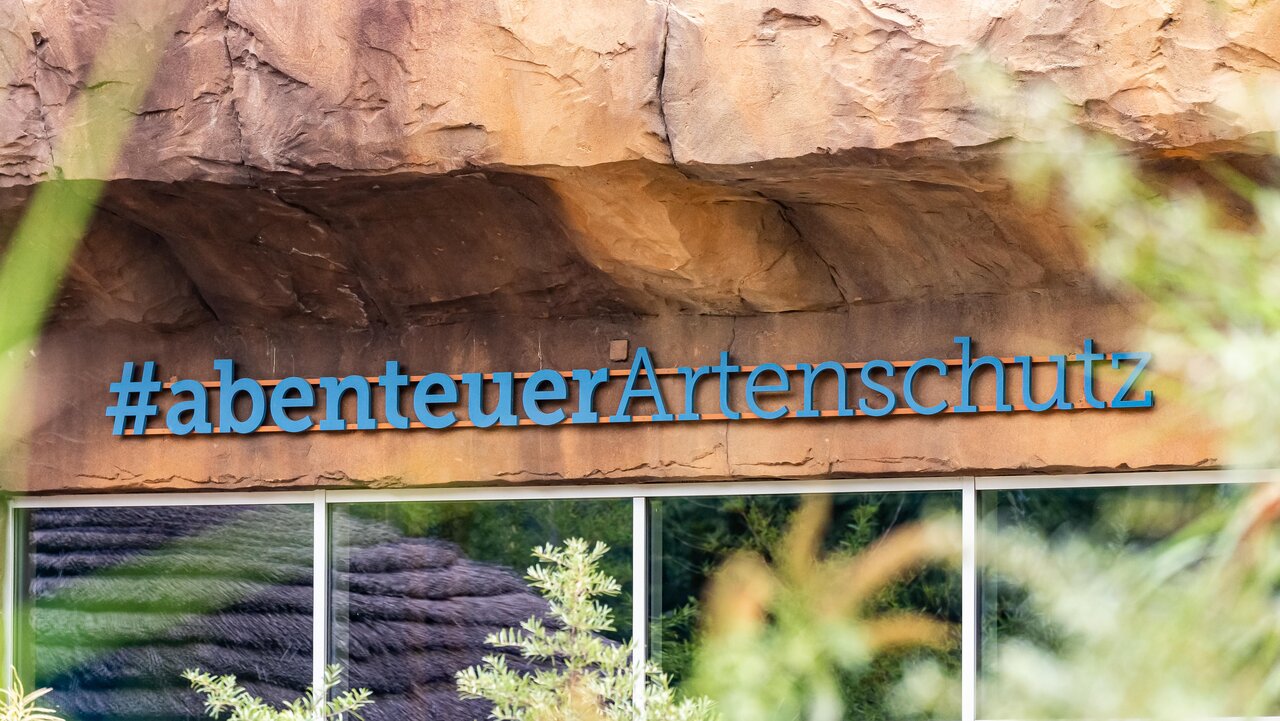 Affenhaus – Bild 3