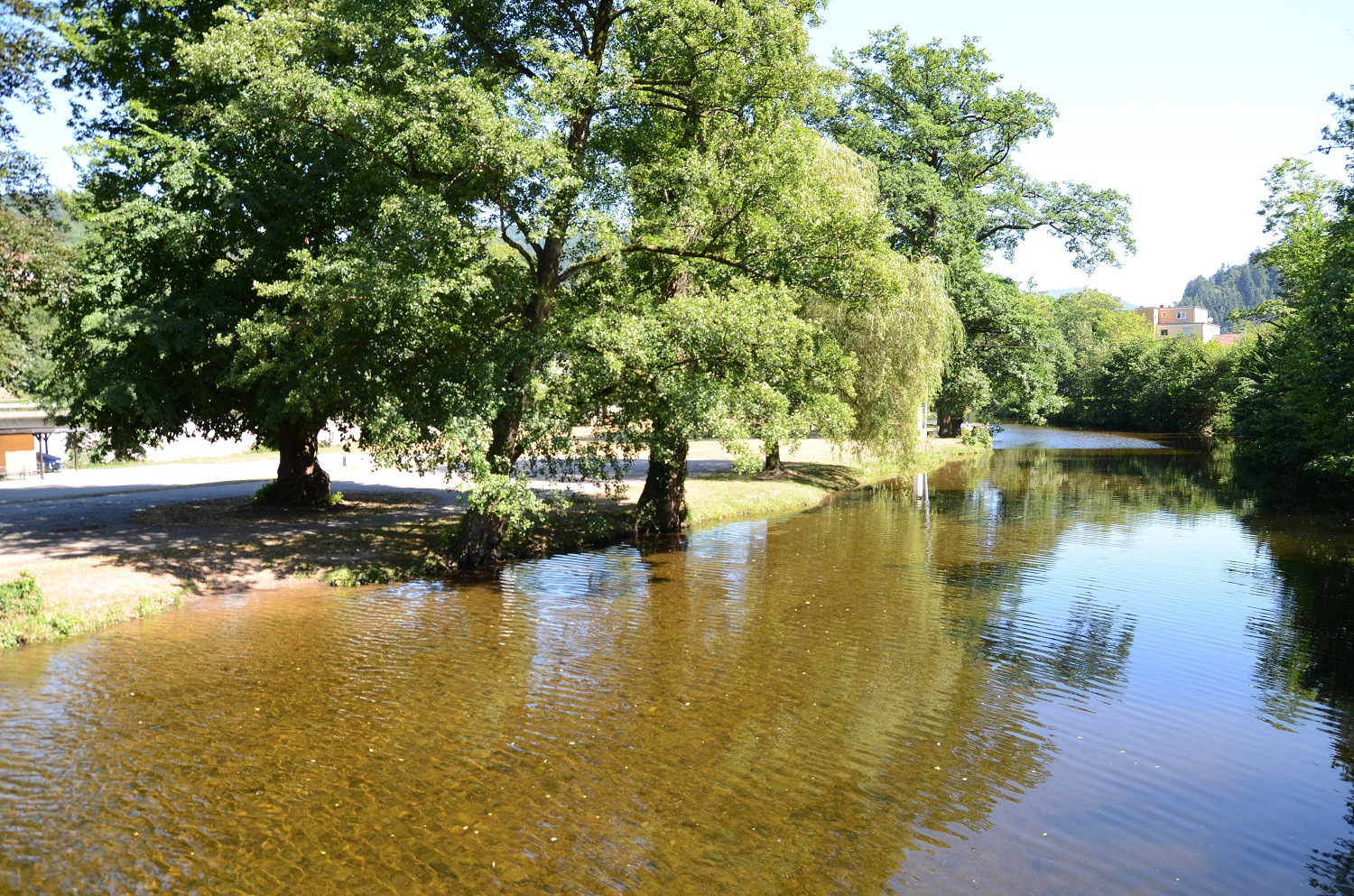 Murginsel Gernsbach – Bild 1