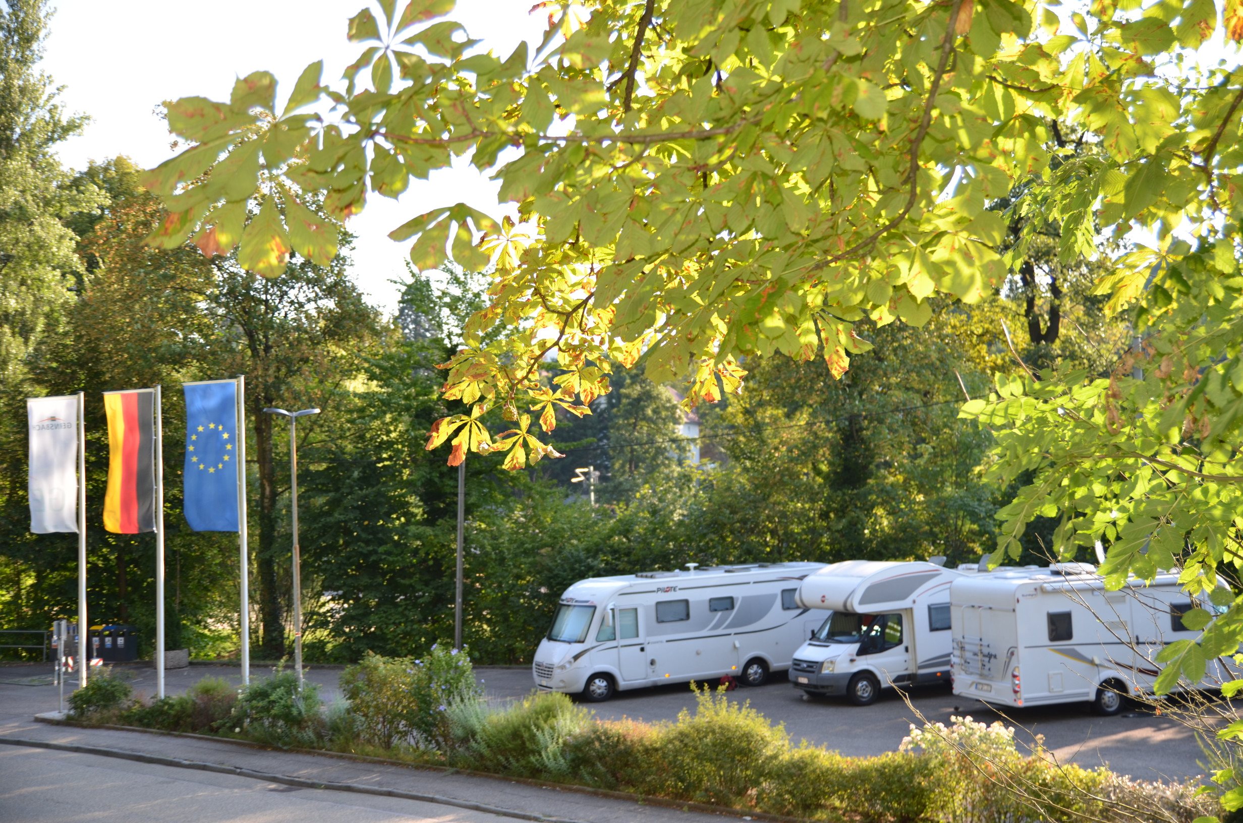 Murginsel Gernsbach – Bild 5