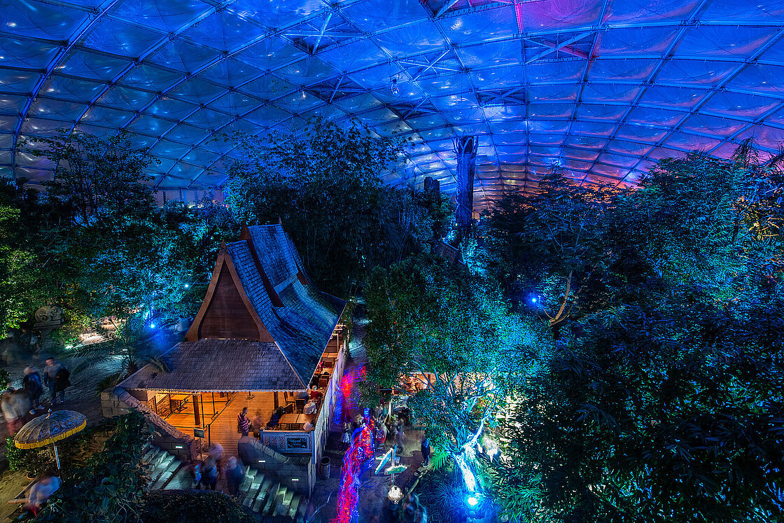 Gondwanaland – Bild 6