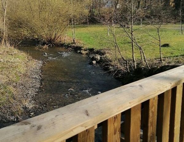 Freizeitzentrum Mayen – Bild 2