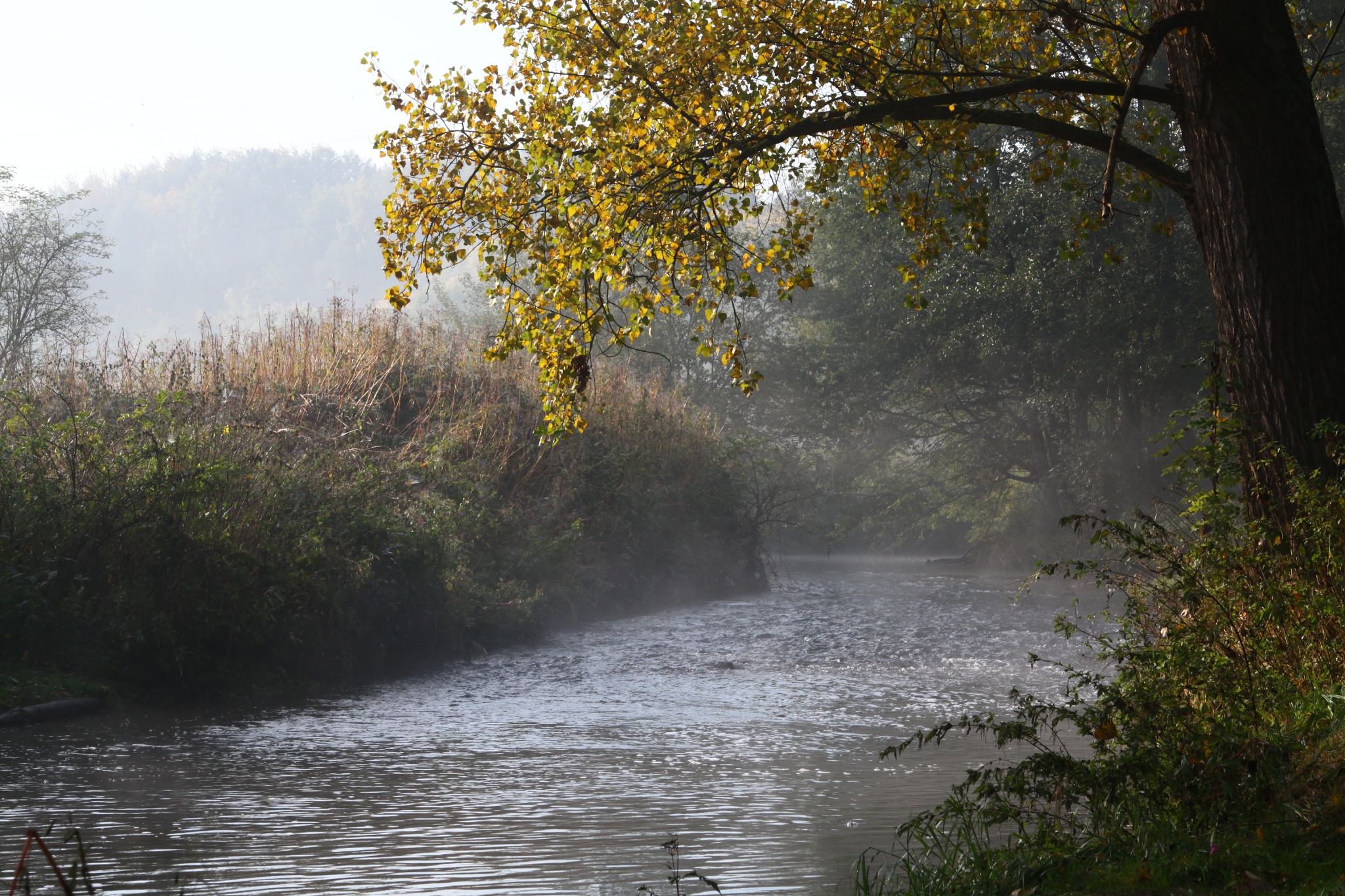 Bolzplatz Wildnis – Bild 3