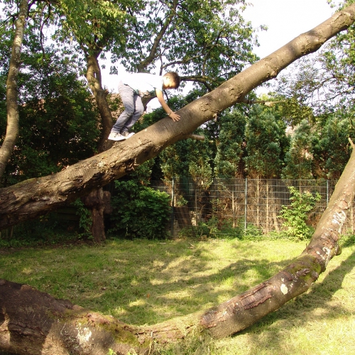 Bolzplatz Wildnis – Bild 5