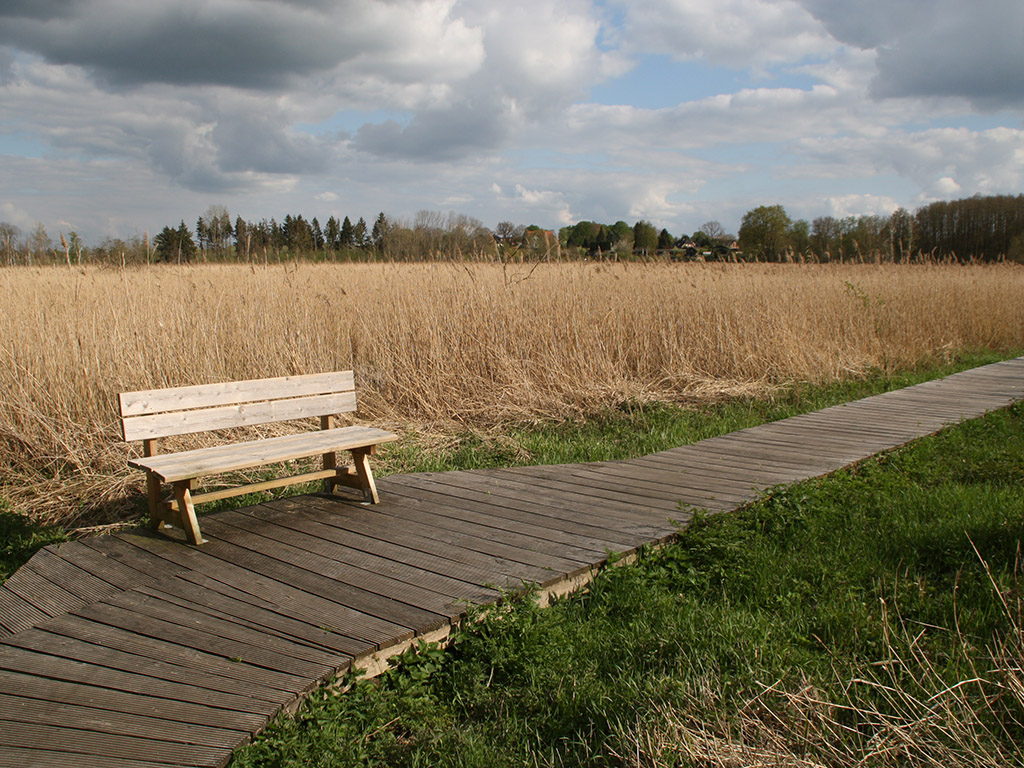 Brenner Moor – Bild 1