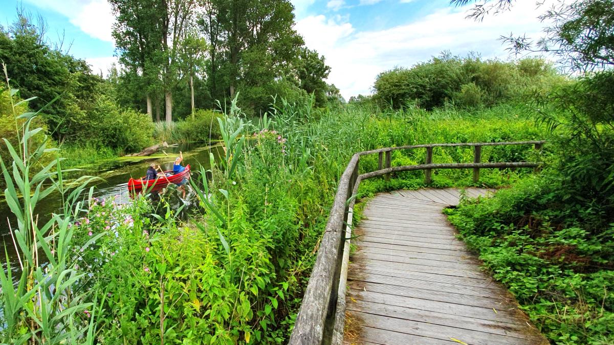 Brenner Moor – Bild 3