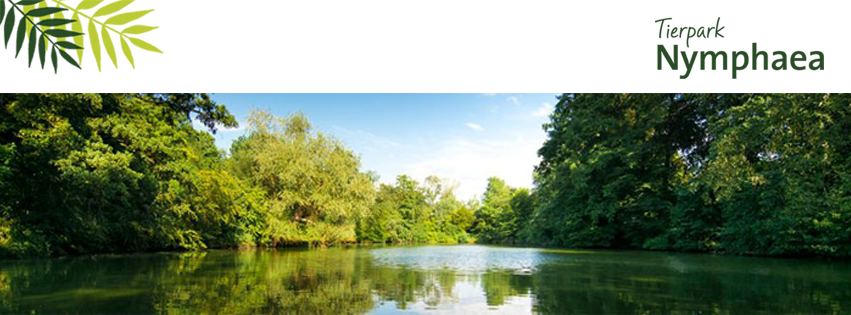 Nymphaea Gaststätte Gerichte zum Mitnehmen – Bild 1