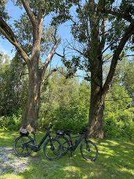 Parc Pierre-Le Moyne-D'lberville – Bild 1